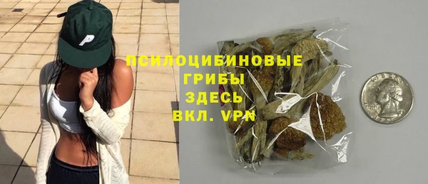 PSILOCYBIN Липки
