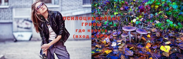 PSILOCYBIN Липки