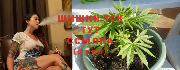 PSILOCYBIN Липки