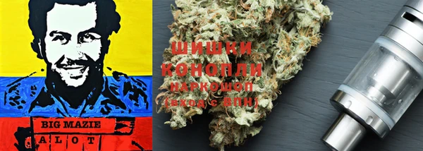 PSILOCYBIN Липки