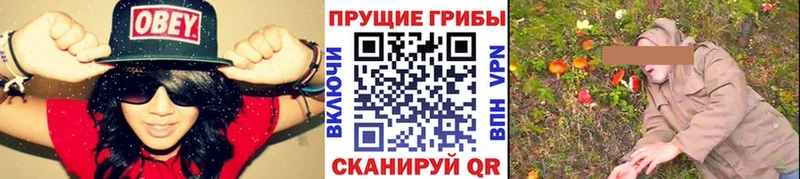 Галлюциногенные грибы мицелий  Белгород 